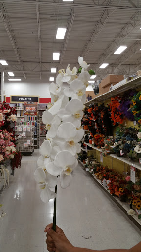 Craft Store «Michaels», reviews and photos, 270 Shenstone Blvd, Garner, NC 27529, USA