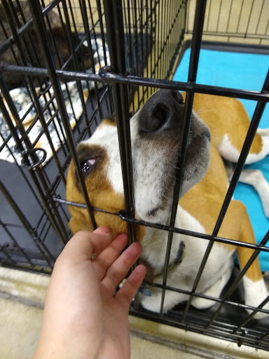 Pet Supply Store «PetSmart», reviews and photos, 3736 SW Archer Rd, Gainesville, FL 32608, USA