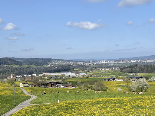 site_photo3