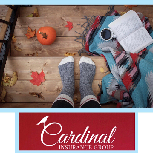 Insurance Agency «Cardinal Insurance Group», reviews and photos