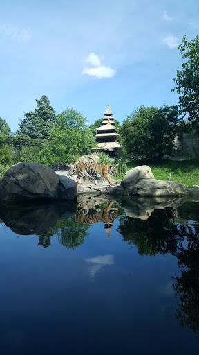 Zoo «Virginia Zoological Park», reviews and photos, 3500 Granby St, Norfolk, VA 23504, USA