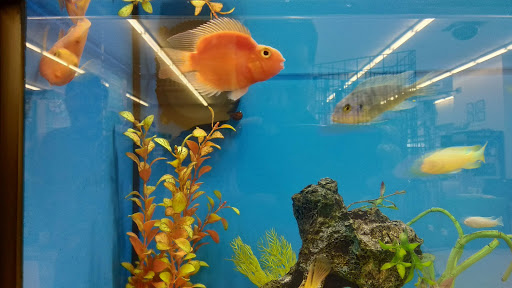 Pet Supply Store «Pet Supplies Plus», reviews and photos, 500 S St W, Raynham, MA 02767, USA