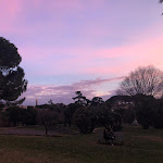 Photo n°2 de l'avis de Maddalena.o fait le 10/02/2019 à 15:08 sur le  La Limonaia à Rome