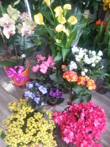 Florist «A Daisy A Day», reviews and photos, 749 Silas Creek Pkwy, Winston-Salem, NC 27127, USA