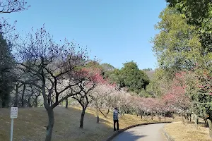 Minami Park image