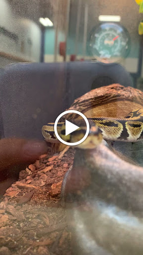 Pet Supply Store «PetSmart», reviews and photos, 20530 E 13 Mile Rd, Roseville, MI 48066, USA