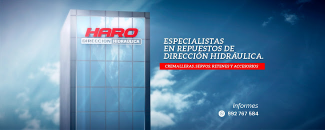 Opiniones de HARO - SERVOS y CREMALLERAS en La Victoria - Concesionario de automóviles