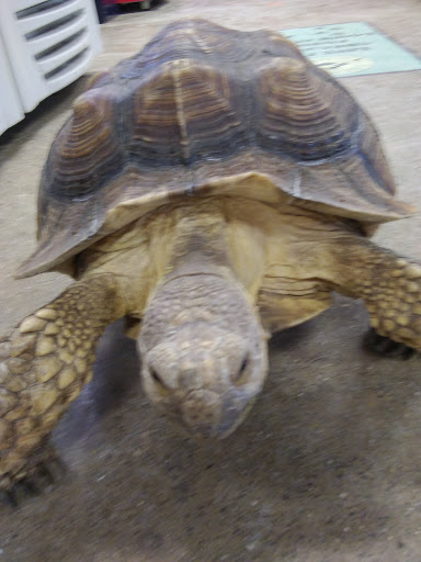 Pet Supply Store «Premier Pet Supply», reviews and photos, 31215 Southfield Rd, Beverly Hills, MI 48025, USA