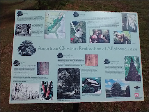 Tourist Attraction «Allatoona Lake Visitor Center & Museum», reviews and photos, 1138 GA-20 Spur, Cartersville, GA 30121, USA