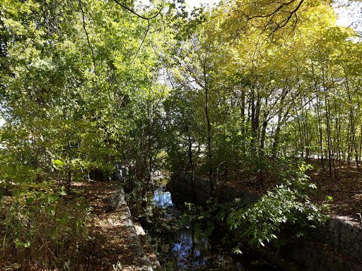 Park «Preston Meadow Park», reviews and photos, 4243 Lorimar Dr, Plano, TX 75093, USA