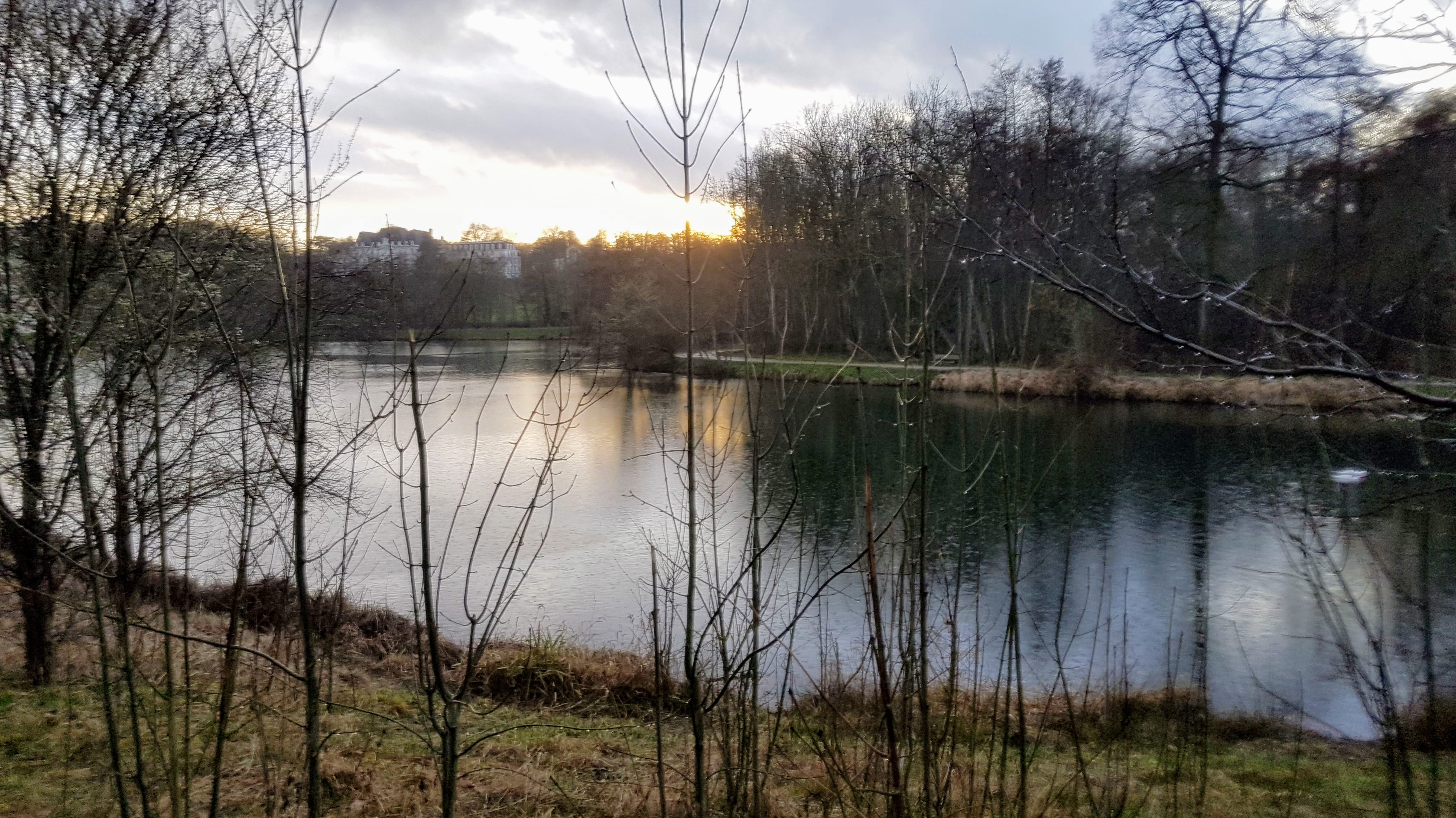 Photo n° 19 de l'avis de Jean-marie.o fait le 06/03/2019 à 12:51