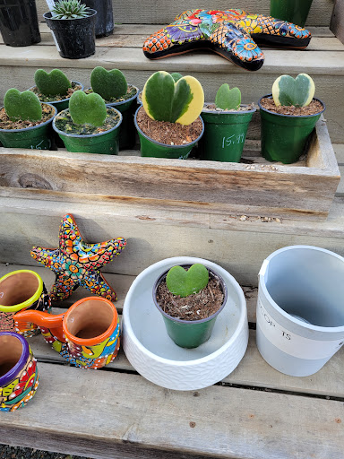 Florist «Cambria Nursery & Florist», reviews and photos, 2801 Eton Rd, Cambria, CA 93428, USA