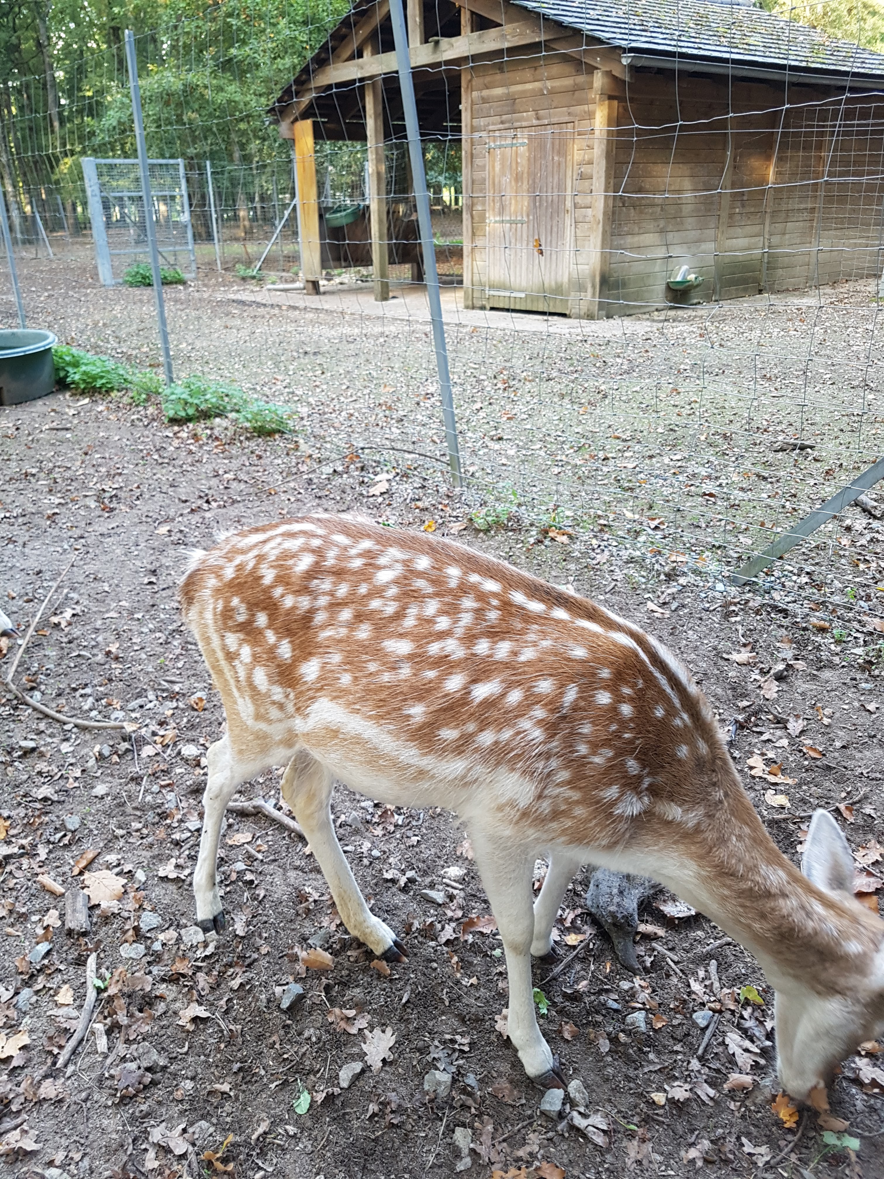 Photo n° 3 de l'avis de Gwid.a fait le 14/10/2019 à 08:45