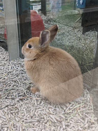Pet Supply Store «Pet Valu», reviews and photos, 541 S Breiel Blvd, Middletown, OH 45044, USA