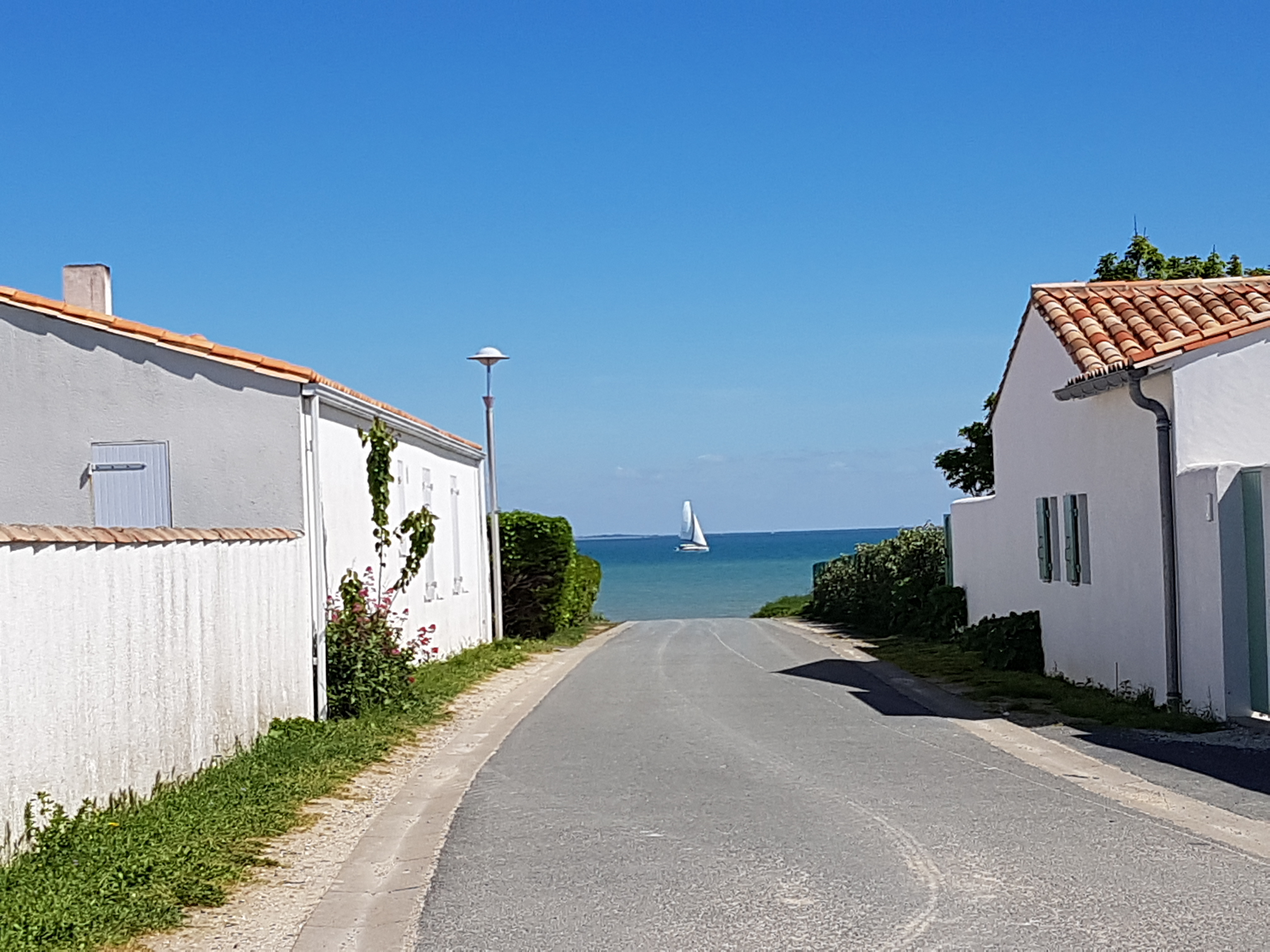 Photo n° 4 de l'avis de Philippe.a fait le 30/04/2019 à 15:00