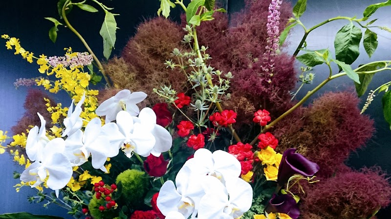 フラワーハウスまえだ 北海道函館市東山 花屋 グルコミ