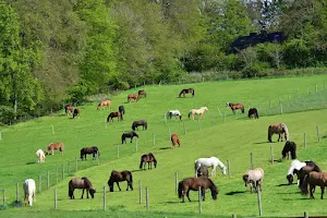 Reitanlage, Islandpferdepension, Reiterhof und LAG-Stall Hof Twent image