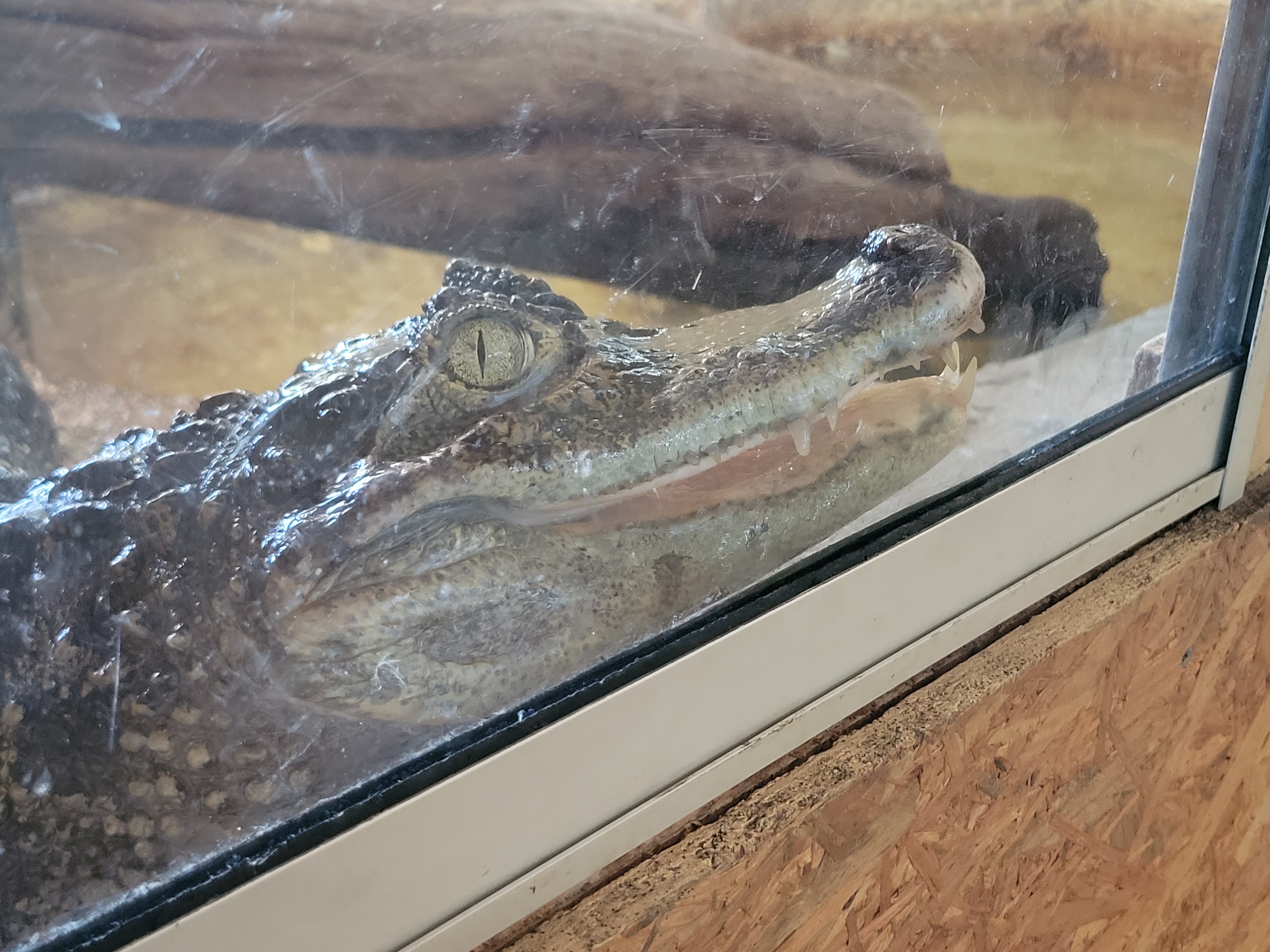 Photo n° 3 de l'avis de Maxime.a fait le 15/08/2023 à 12:23