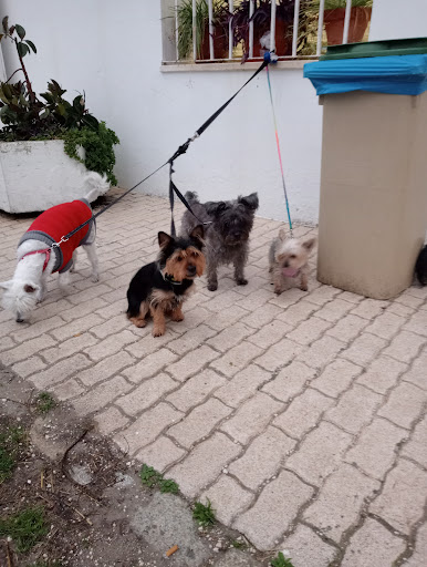 Clínica Veterinaria Nueva Italica en Salteras