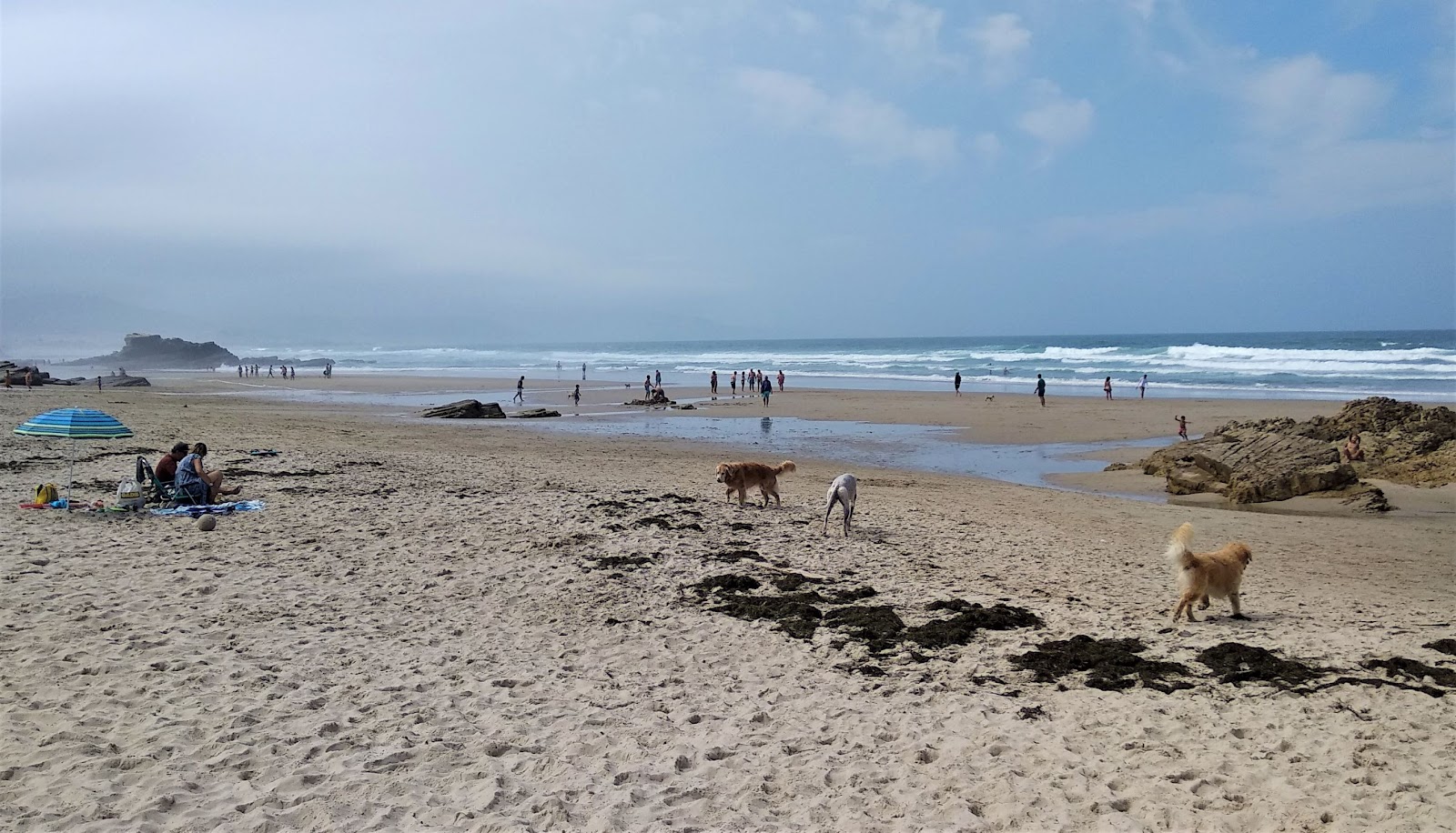 Praia de Longara'in fotoğrafı - rahatlamayı sevenler arasında popüler bir yer