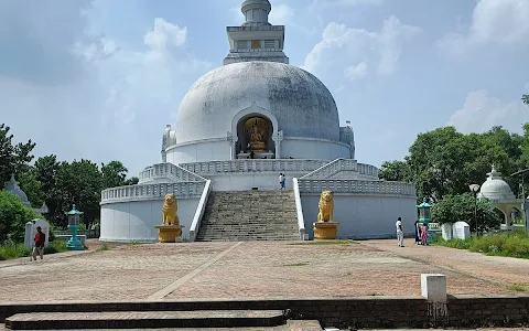 Vaishali Museum image