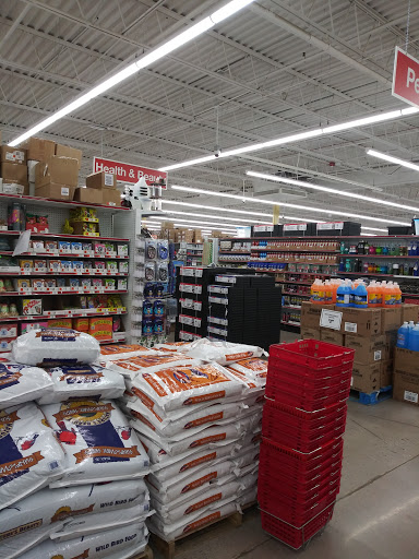 Discount Store «Ocean State Job Lot», reviews and photos, 2291 Northampton St, Holyoke, MA 01040, USA