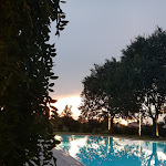 Photo n°9 de l'avis de Erika.a fait le 02/08/2021 à 23:08 sur le  Ristorante Prima o poi à Rolo