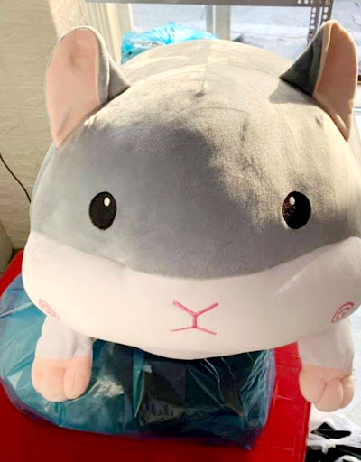 Top 20 cửa hàng giặt giày Thành phố Bến Tre Bến Tre 2022