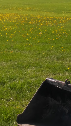 Fairground «Wayne County Fair Grounds», reviews and photos, 10871 Quirk Rd, Belleville, MI 48111, USA