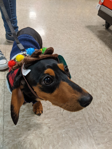 Pet Supply Store «PetSmart», reviews and photos, 24 Countryside Plaza, Countryside, IL 60525, USA