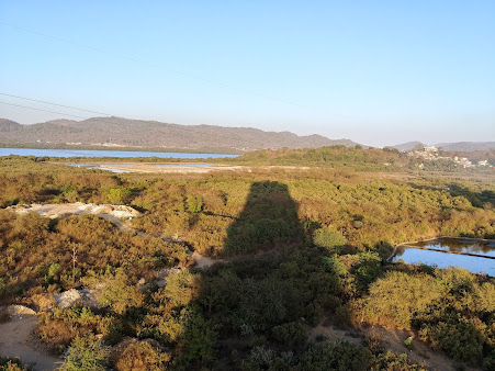 Google Maps image 13