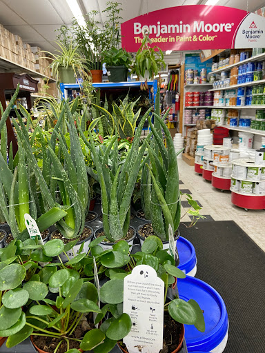 Hardware Store «Broadway Lumber Supplies», reviews and photos, 1146 Myrtle Ave, Brooklyn, NY 11206, USA