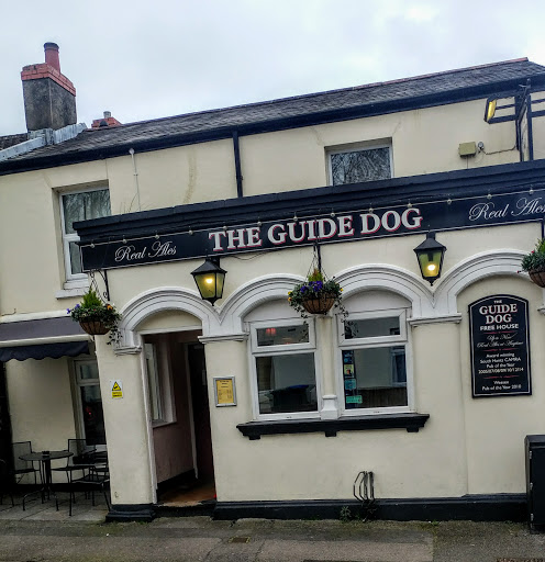 The Guide Dog