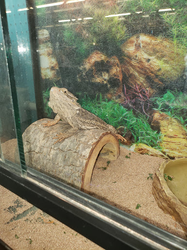 Pet Store «Feed Rite Pet Shop & Supply», reviews and photos, 11760 Belleville Rd, Belleville, MI 48111, USA