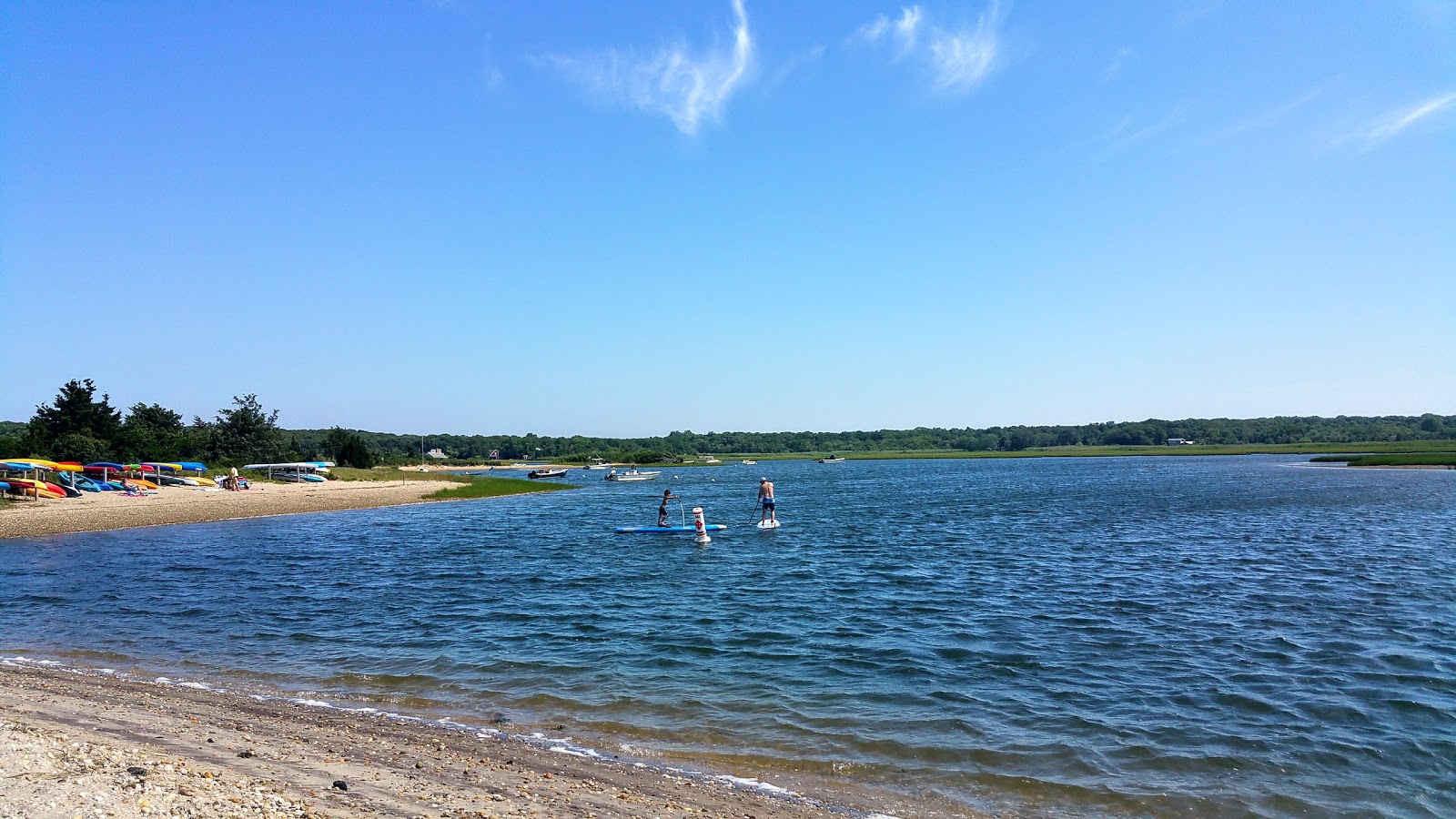 Foto van Louse Point Town wilde omgeving