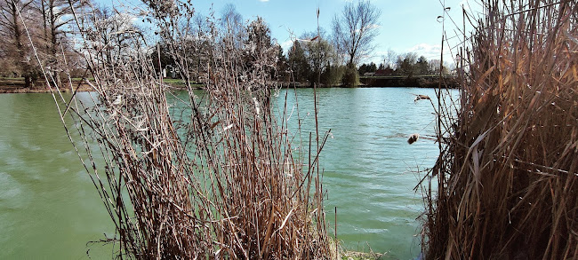 Telekparti Szabadidő -park