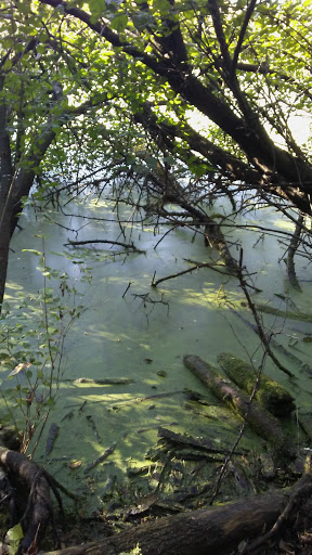 Park «North Commons Park», reviews and photos, 1801 N James Ave, Minneapolis, MN 55411, USA