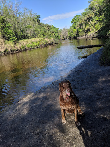 Nature Preserve «Rye Preserve», reviews and photos, 905 Rye Wilderness Trail, Parrish, FL 34219, USA