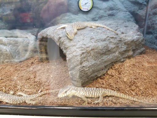 Pet Supply Store «Petco Animal Supplies», reviews and photos, 1680 Campbell Ln, Bowling Green, KY 42104, USA