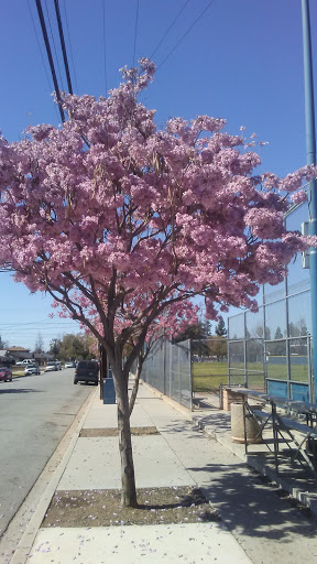 Park «Memorial Park», reviews and photos, 320 N Orange Ave, Azusa, CA 91702, USA