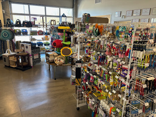 PAWSH at Humane Society of Southern Arizona