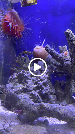 Tropical Fish Store «House of Fins», reviews and photos, 99 Bruce Park Ave, Greenwich, CT 06830, USA