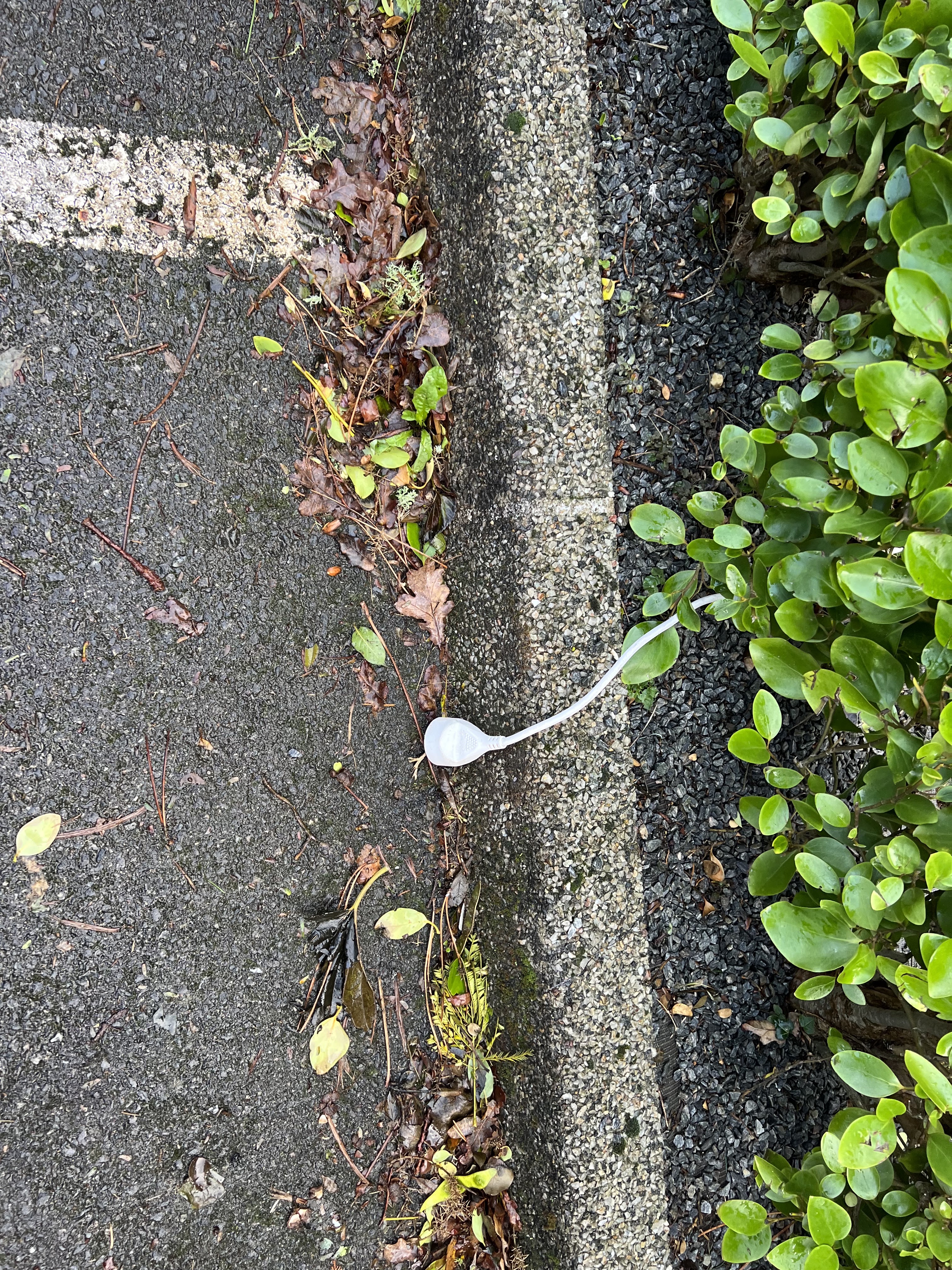 Photo n° 1 de l'avis de Erwan.A fait le 30/12/2023 à 15:18