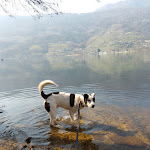 Photo n°10 de l'avis de Antonio.a fait le 22/03/2023 à 12:44 sur le  Ristorante Ca' Rossa à Pergine Valsugana