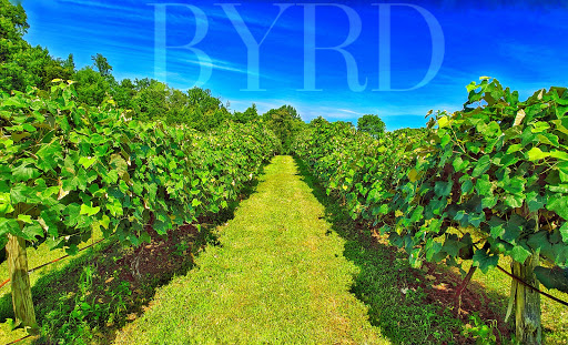 Winery «Byrd Cellars», reviews and photos, 5847 River Rd W, Goochland, VA 23063, USA