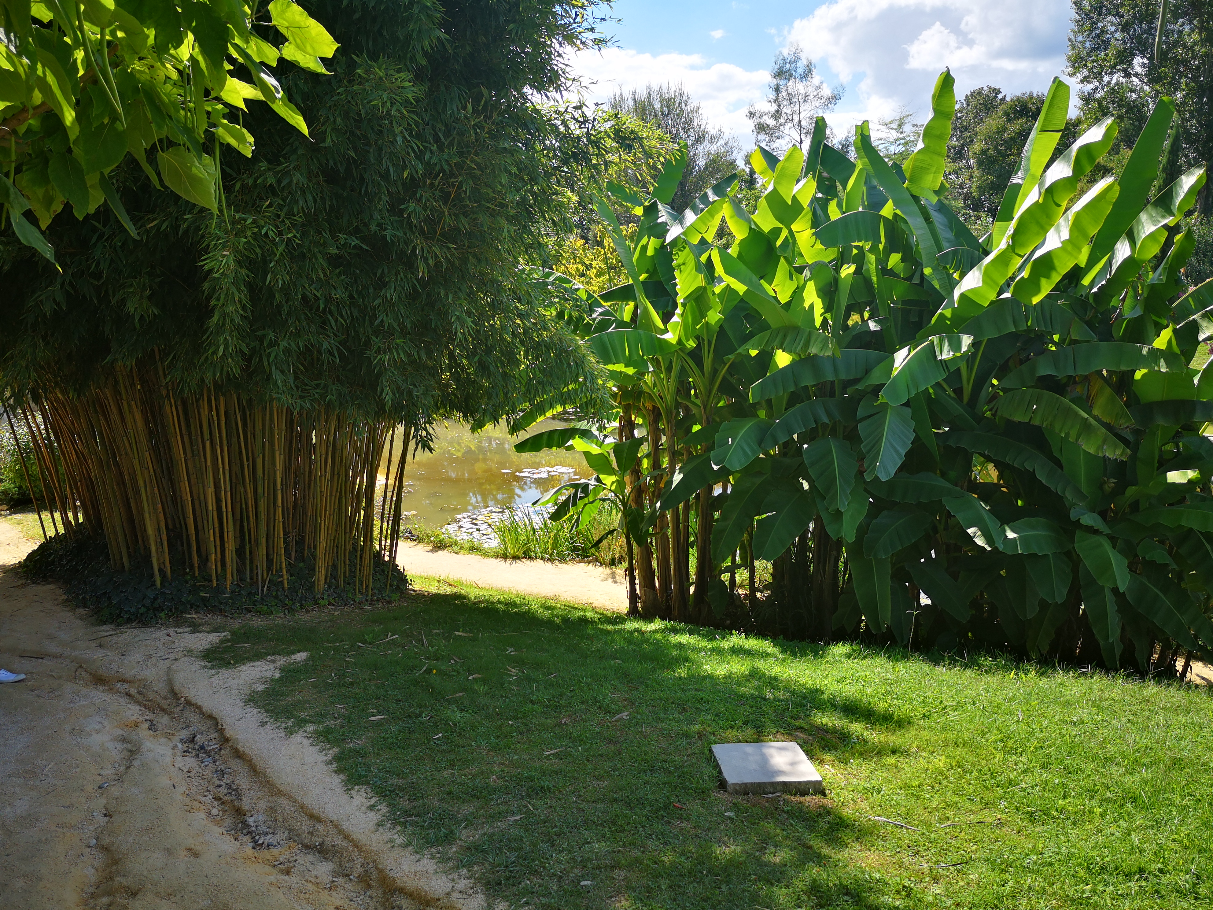 Photo n° 14 de l'avis de Mallory.e fait le 24/08/2020 à 06:08