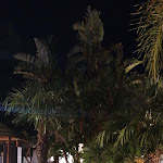 Photo n°4 de l'avis de Paolo.i fait le 07/09/2020 à 19:57 sur le  Orion Pizza Experience Pool & Garden à Monastir