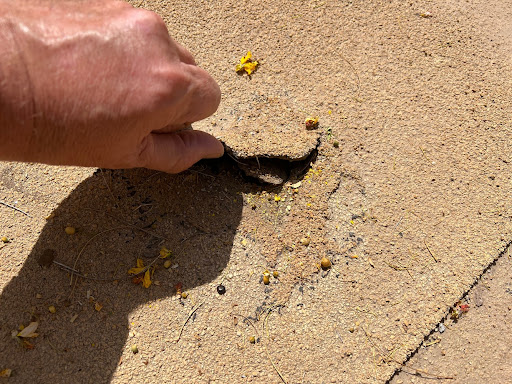 Roofing Contractor «Geo Roofing», reviews and photos, 1451 E Alameda Dr, Phoenix, AZ 85024, USA