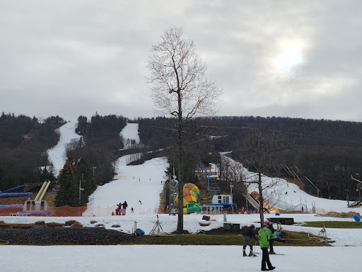 Tourist Attraction «Camelback Mountain Adventures», reviews and photos, 243 Resort Dr, Tannersville, PA 18372, USA