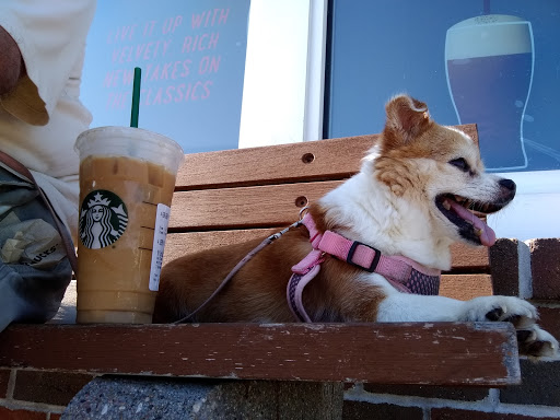 Coffee Shop «Starbucks», reviews and photos, 24 Montauk Hwy, Hampton Bays, NY 11946, USA